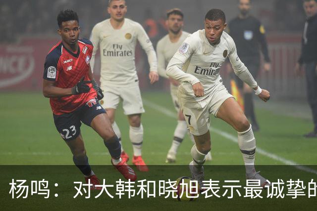 杨鸣：对大韩和晓旭表示最诚挚的感谢和尊重